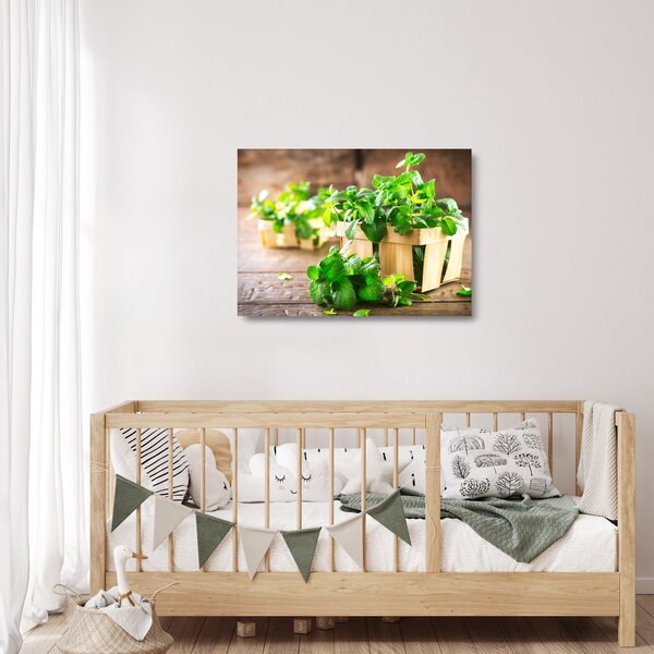 Staklena slika svježe metvice (70x50 cm)