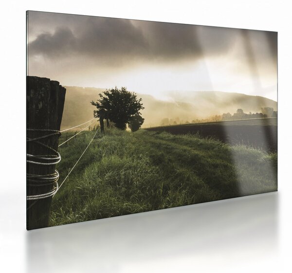 Staklena slika livade (70x50 cm)