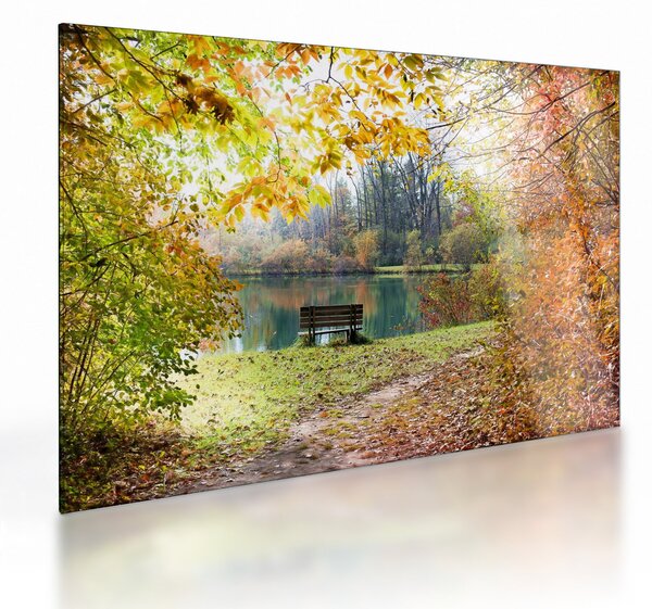 Staklena slika ribnjaka (70x50 cm)