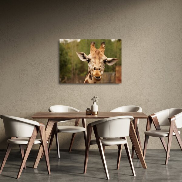 Staklena slika žirafe (70x50 cm)