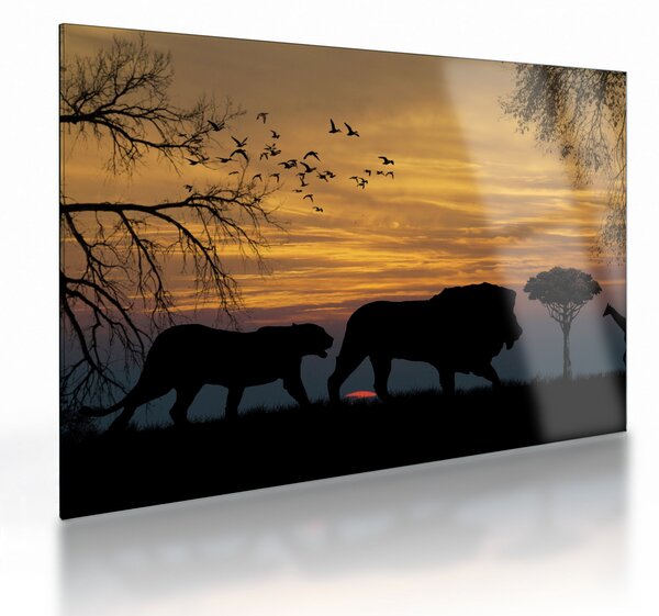 Safari slika (70x50 cm)