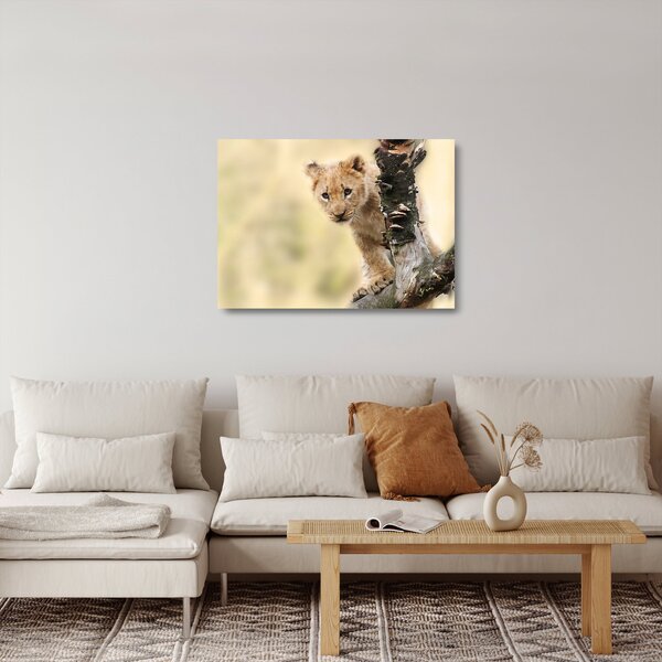 Staklena slika mladunca lava (70x50 cm)