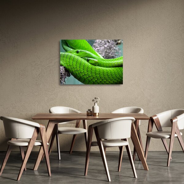 Staklena slika zelenih zmija (70x50 cm)