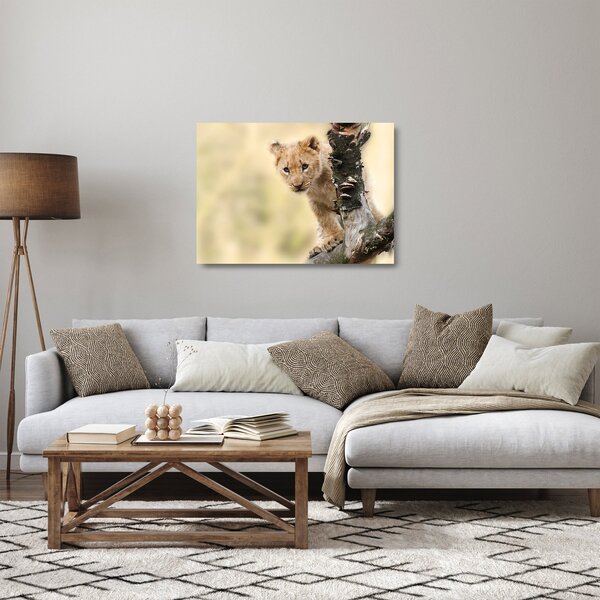 Staklena slika mladunca lava (70x50 cm)