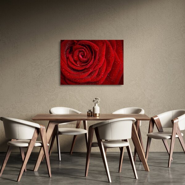 Staklena slika - detalj ruže (70x50 cm)