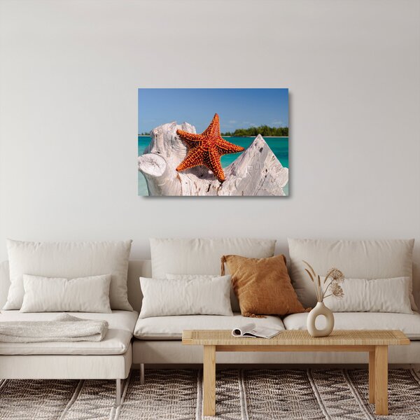 Staklena slika morske zvijezde (70x50 cm)