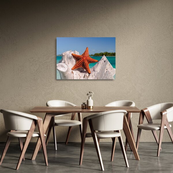 Staklena slika morske zvijezde (70x50 cm)