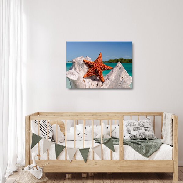 Staklena slika morske zvijezde (70x50 cm)