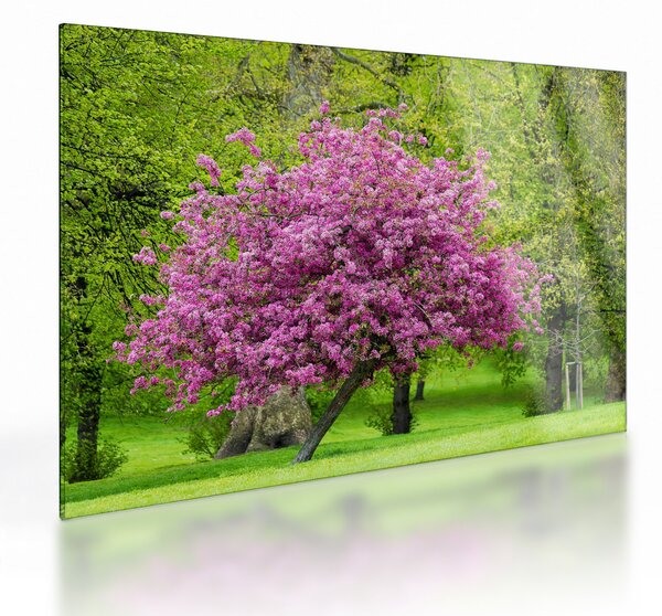 Staklena slika cvjetajućeg stabla na livadi (70x50 cm)
