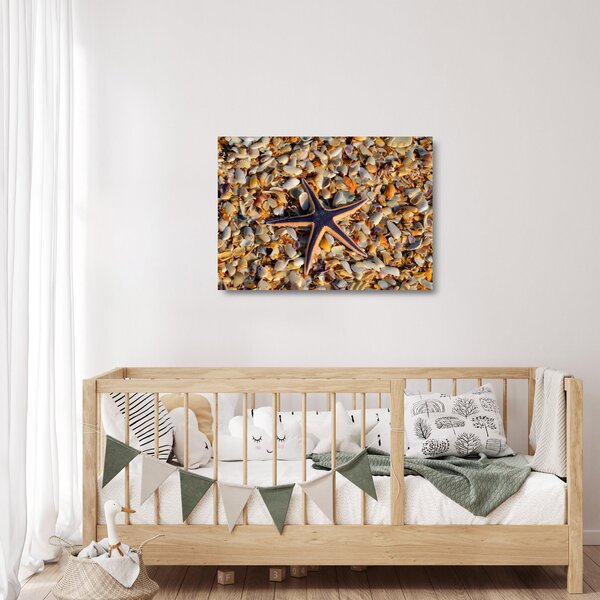 Staklena slika morske zvijezde (70x50 cm)