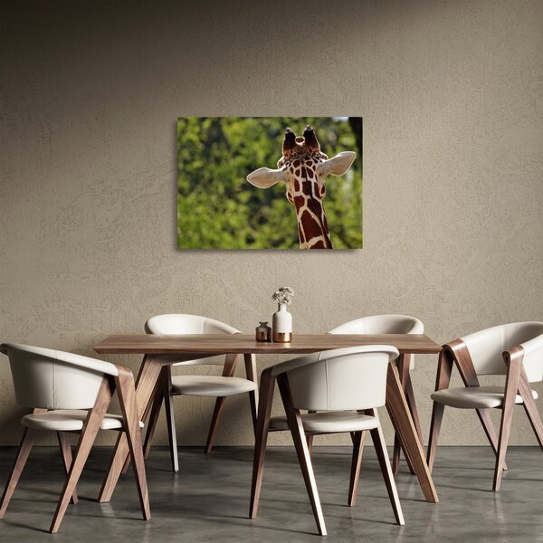 Staklena slika žirafe s leđa (70x50 cm)