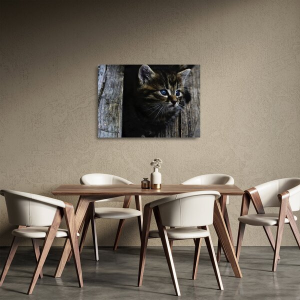 Staklena slika mačića (70x50 cm)