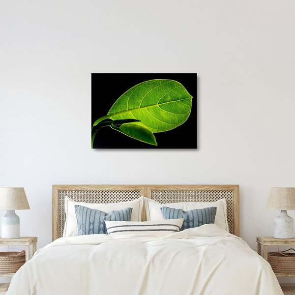 Staklena slika - zeleni list (70x50 cm)