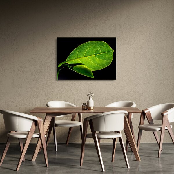 Staklena slika - zeleni list (70x50 cm)