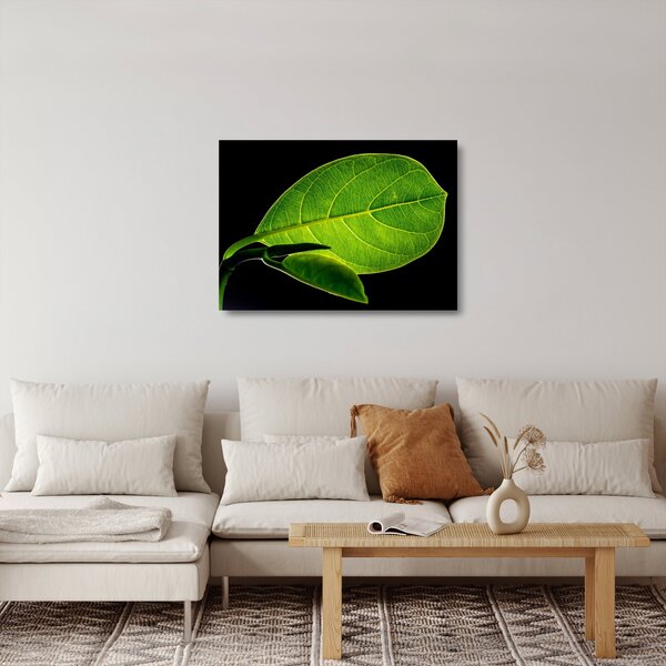 Staklena slika - zeleni list (70x50 cm)
