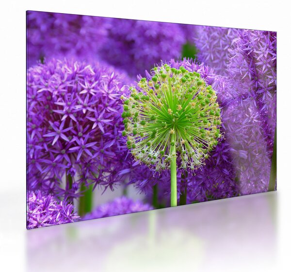 Staklena slika cvijeta (70x50 cm)