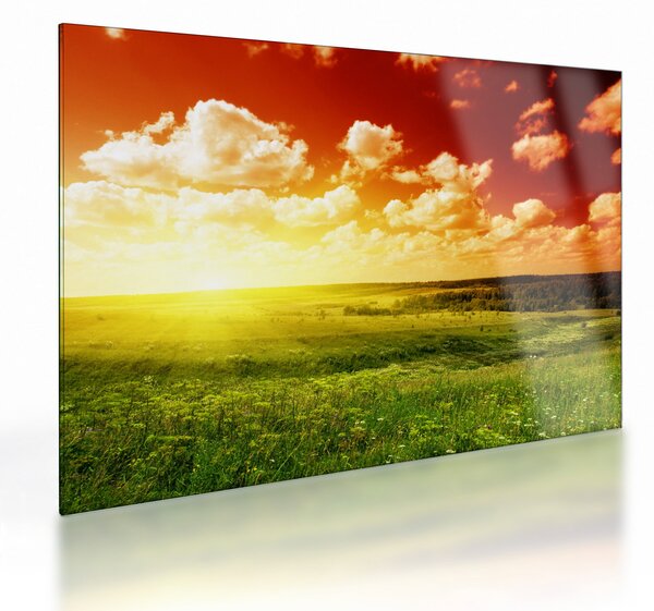 Staklena slika ljetne livade (70x50 cm)