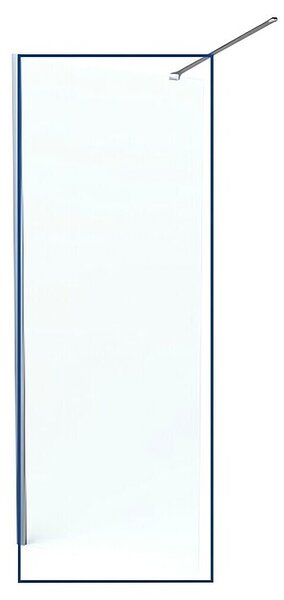 Sanotechnik Tuš stijena Walk In (Š x V: 100 x 200 cm, Prozirna)