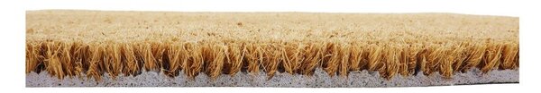 Otirač od kokosovih vlakana 40x60 cm Paw Prints – Artsy Doormats