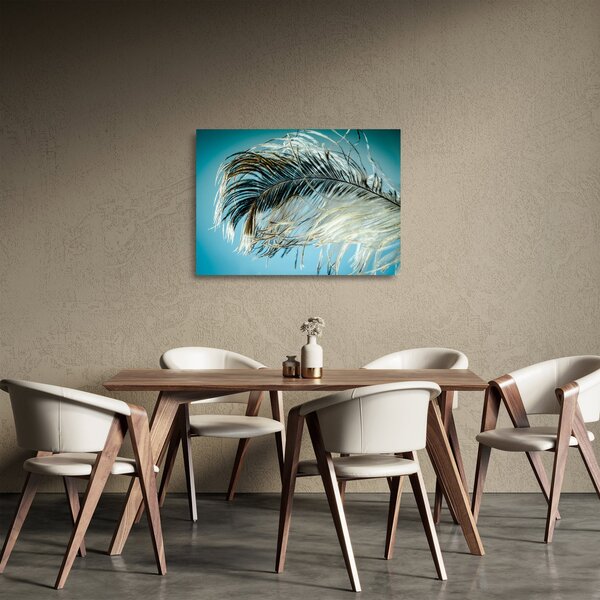 Staklena slika pera (70x50 cm)