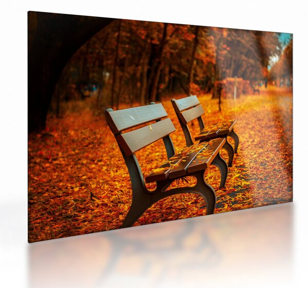 Staklena slika klupe u jesen (70x50 cm)