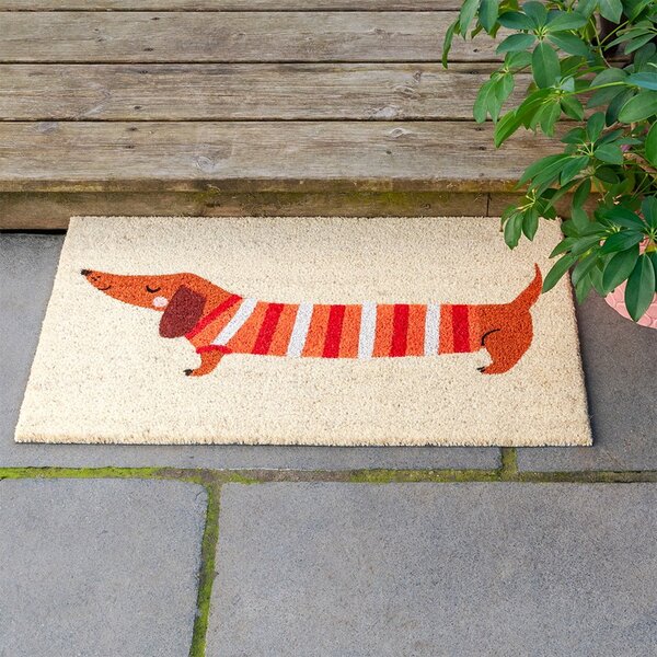 Otirač od kokosovih vlakana 43x73 cm Sausage Dog – Rex London