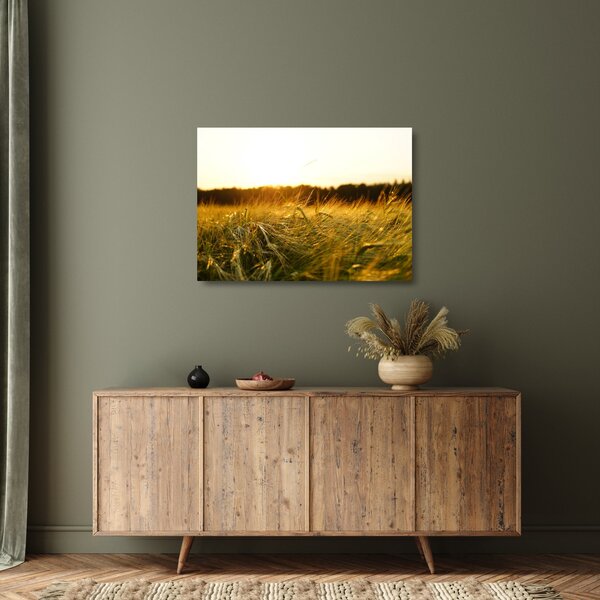 Staklena slika rosne trave (70x50 cm)