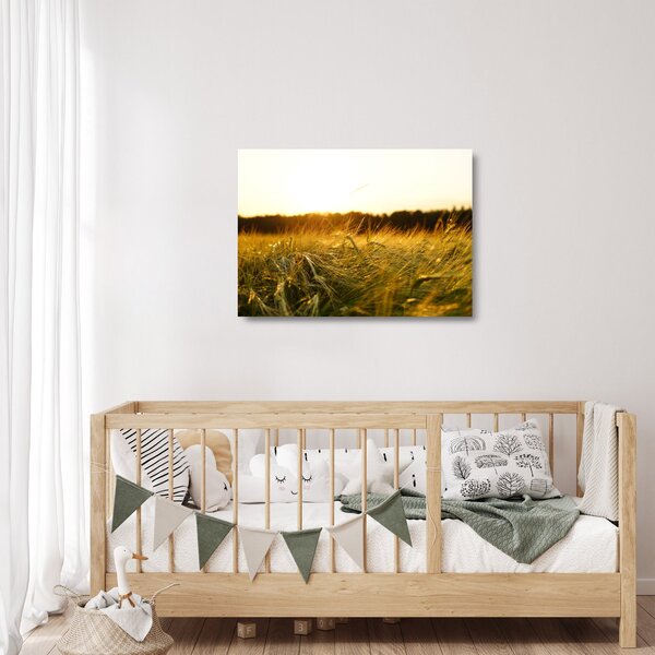 Staklena slika rosne trave (70x50 cm)