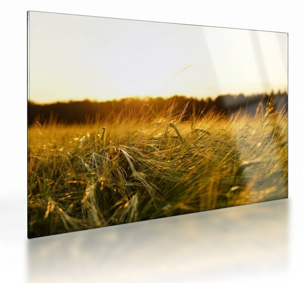 Staklena slika rosne trave (70x50 cm)