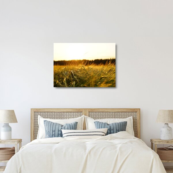 Staklena slika rosne trave (70x50 cm)