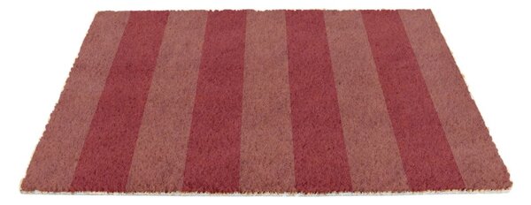 Otirač od kokosovih vlakana 40x60 cm Pink Stripe – Artsy Doormats