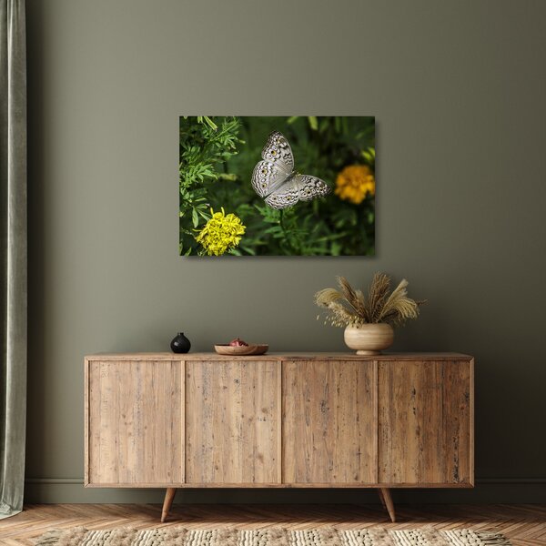 Staklena slika - bijeli leptir (70x50 cm)