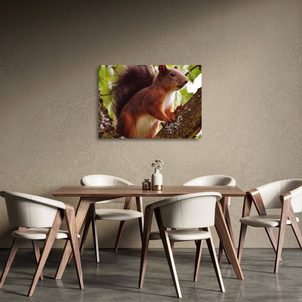 Staklena slika vjeverice (70x50 cm)