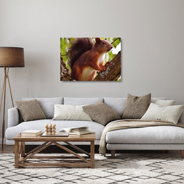 Staklena slika vjeverice (70x50 cm)