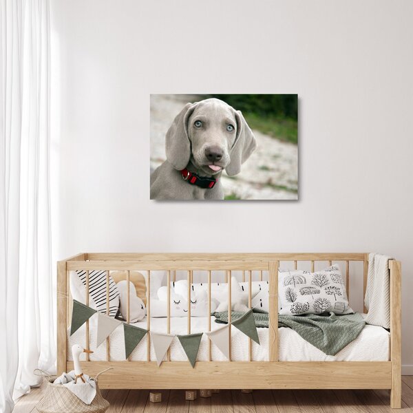 Staklena slika - štene Weimaranera (70x50 cm)