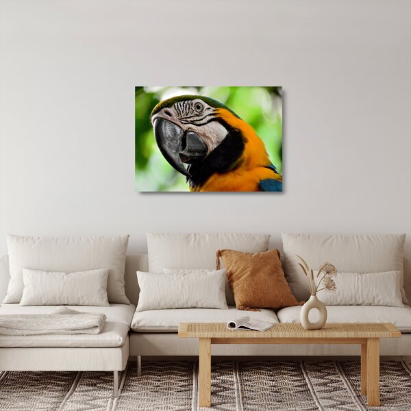 Staklena slika papige (70x50 cm)