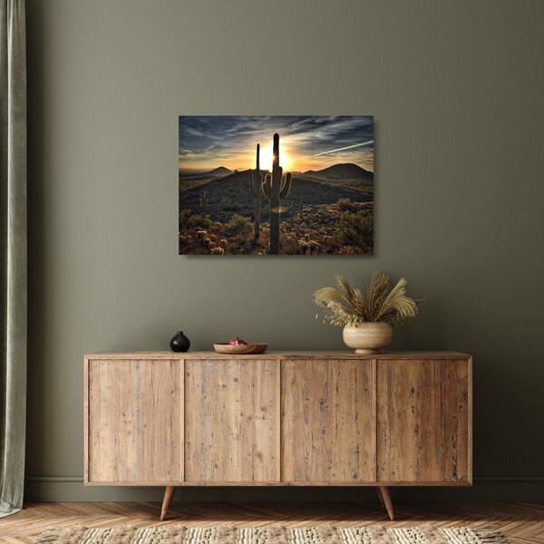 Staklena slika - kaktusi na suncu (70x50 cm)