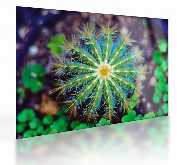 Staklena slika kaktusa (70x50 cm)