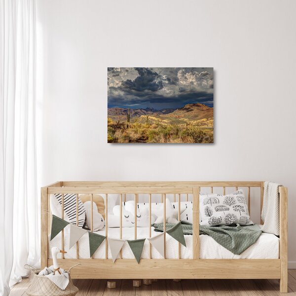 Staklena slika - kaktusi u prirodi (70x50 cm)