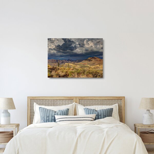 Staklena slika - kaktusi u prirodi (70x50 cm)
