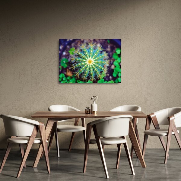 Staklena slika kaktusa (70x50 cm)