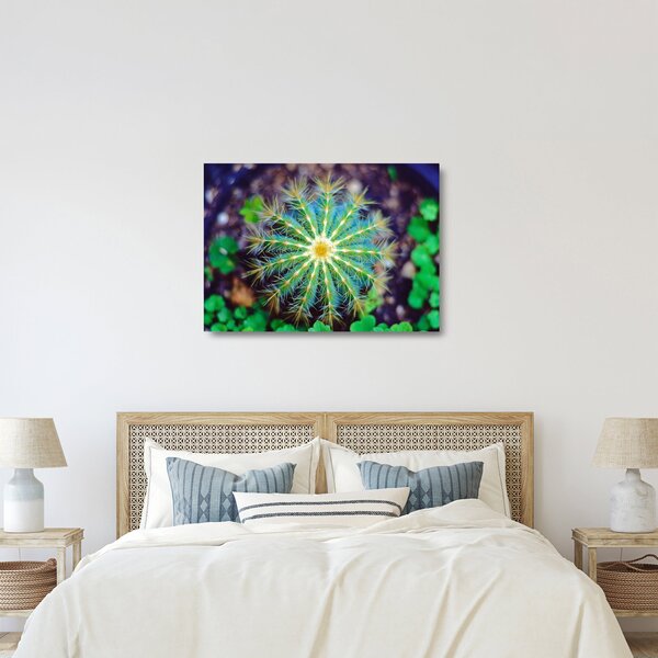 Staklena slika kaktusa (70x50 cm)