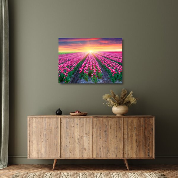 Staklena slika polja tulipana sa suncem (70x50 cm)