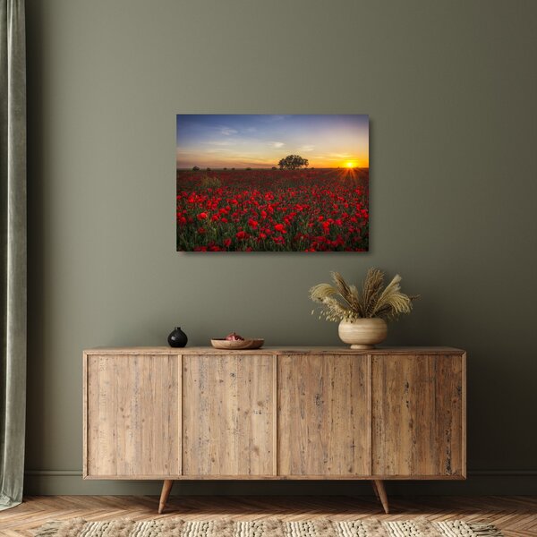 Staklena slika livade s makovima (70x50 cm)