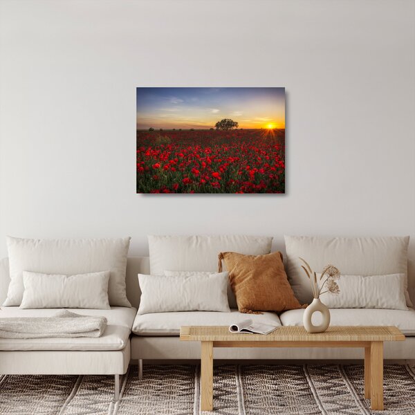 Staklena slika livade s makovima (70x50 cm)