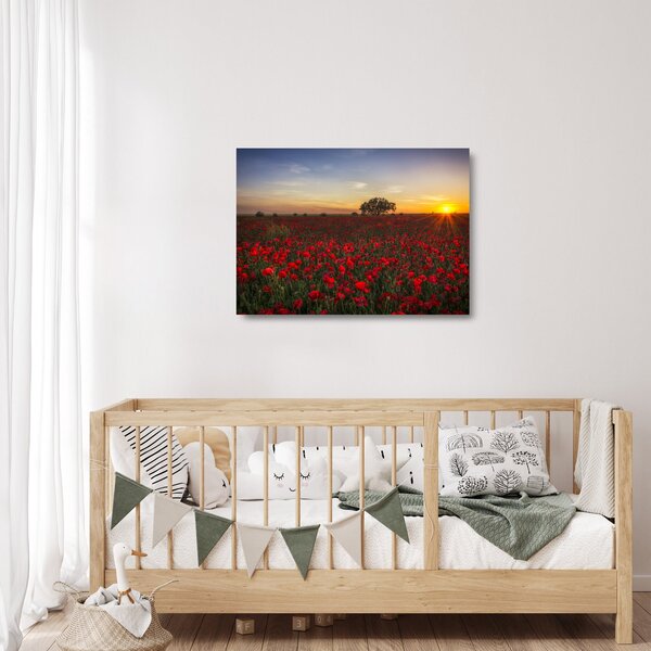 Staklena slika livade s makovima (70x50 cm)