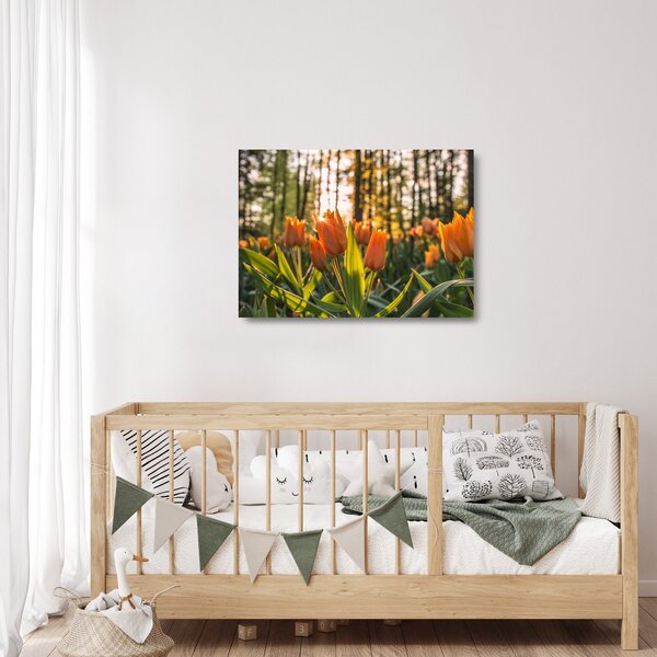 Staklena slika - narančasti tulipani (70x50 cm)