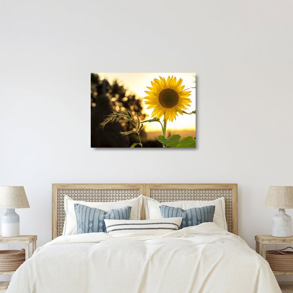 Staklena slika suncokreta (70x50 cm)