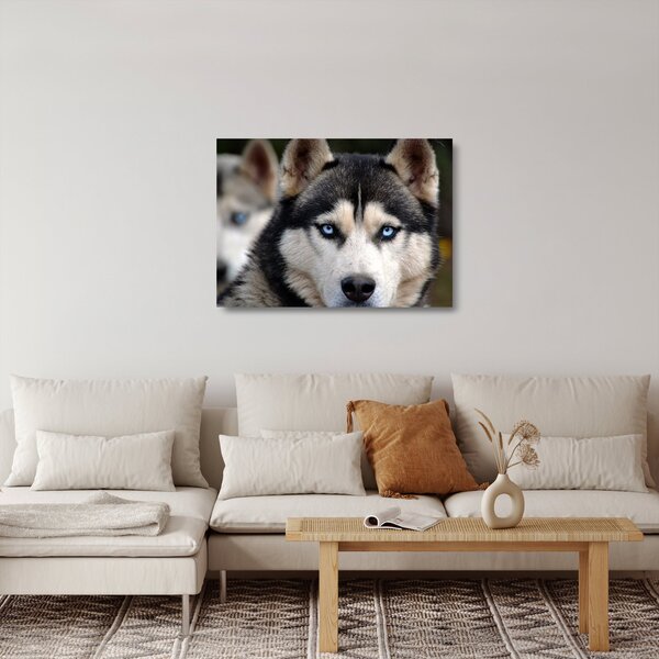 Staklena slika haski psa (70x50 cm)