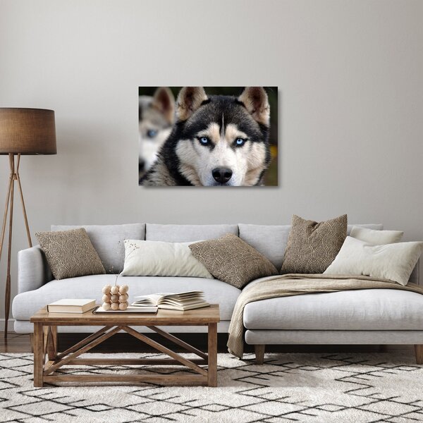 Staklena slika haski psa (70x50 cm)